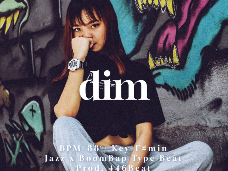 dim (Jazz x BoomBap TypeBeat) [446_218]