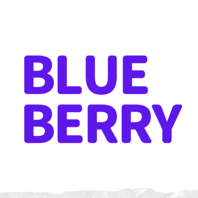 blueberrybeats