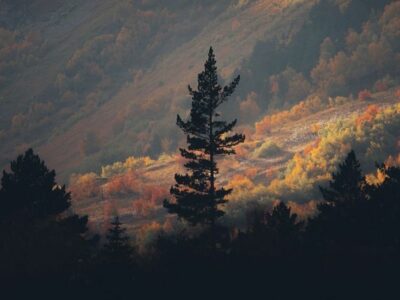 melodic pop rock × hip hop type beat "euphoria" prod.clozz