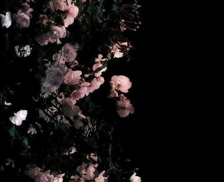 pop × r&b × sad piano type beat "things I lost"