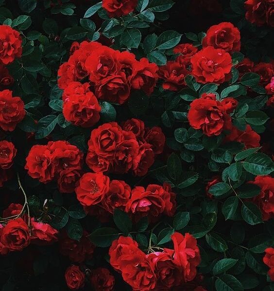 Tade Dust × tip jam Type Beat - "Save Your Love"