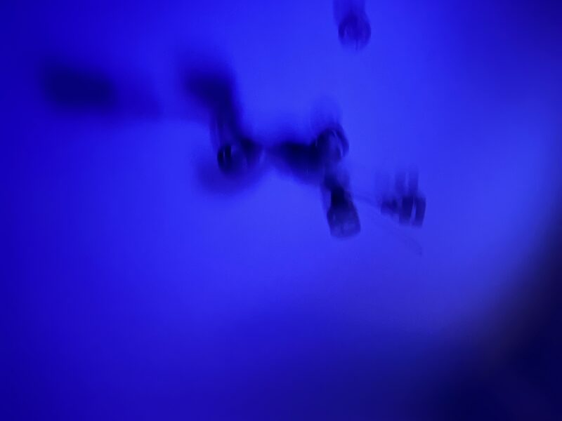FLOAT